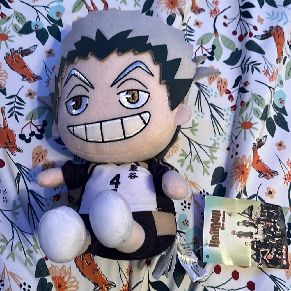 HAIKYU NWT PLUSH
